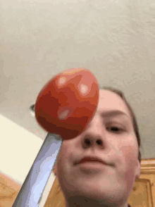Livvi Tomato GIF