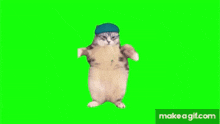 a cat is dancing on a green screen while wearing a hat .