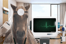 Tomascore Dr Horse GIF