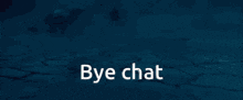 Ash Leaving Ash Saying Bye Chat GIF - Ash Leaving Ash Saying Bye Chat GIFs