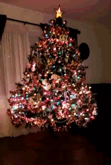 Hubbard Christmas Tree GIF