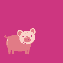 Vegan Pig GIF - Vegan Pig GIFs