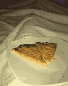 Cats Pizza GIF - Cats Cat Pizza GIFs