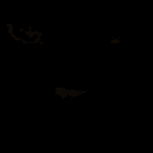 a close up of a cat 's face with a black background
