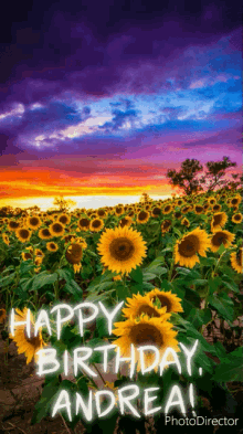 Happybirthdayandrea Sunflowersbirthday GIF - Happybirthdayandrea Sunflowersbirthday Beautiful GIFs