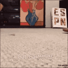 Slipper Cat GIF - Slipper Cat Car GIFs