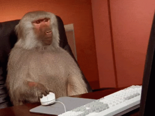 monkey computer gif