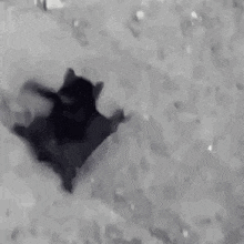 Crawling Baby GIF - Crawling Baby Bat GIFs