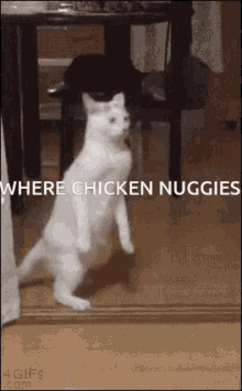 Chicken Nuggies Based Memes GIF - Chicken Nuggies Based Memes Based Shitpost GIFs