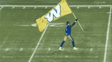 Winnipeg Blue Bombers Flag GIF