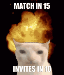 Match In15invites In10 Bomcat GIF - Match In15invites In10 Bomcat Osu Match In15 GIFs