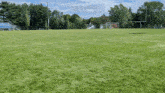 a soccer field with a goal in the background