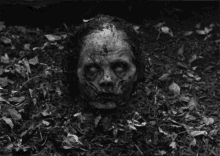 Scary Zombie GIF - Scary Zombie Ghoul GIFs