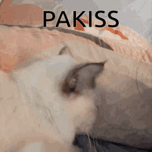 Kiss Ni Chami Kiss GIF - Kiss Ni Chami Kiss Pakiss GIFs