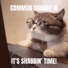 Shabby Mss GIF - Shabby Mss Marvelstudiosspoilers GIFs