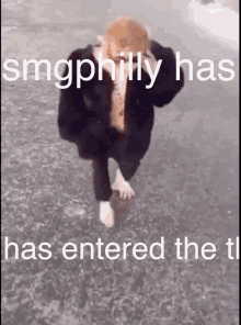 Smgphilly Entered GIF - Smgphilly Entered Monkey GIFs