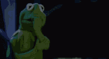 Kermit Kermit The Frog GIF - Kermit Kermit The Frog Worried GIFs
