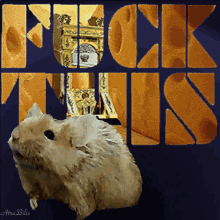 Hamster I Quit GIF - Hamster I Quit Fuck This Shit GIFs