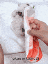 a person is holding a piece of meat that says nukuu jo kaaroska on it