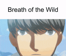 Persona Breath Of The Wild GIF - Persona Breath Of The Wild Persona 4 GIFs