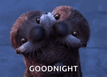 Otters Sea GIF