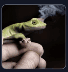 Gecko Smoking A Joint GIF - Gecko Smoking A Joint GIFs