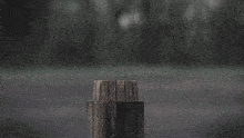a statue of an angel is coming out of a wood stump