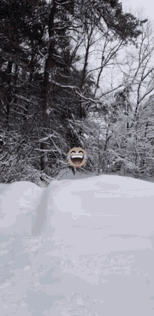 When You Trapped Cause Of The Snow Snow GIF - When You Trapped Cause Of The Snow Snow Winter GIFs