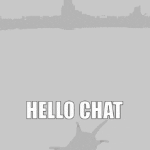Possum Fall GIF - Possum Fall Hello Chat GIFs