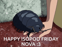 isopod real isopod hours rolly polly isopod friday roly poly