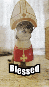 a cat wearing a bishop 's hat and a blessed sign