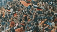 Oranje GIF - Oranje Nederlands Holland GIFs