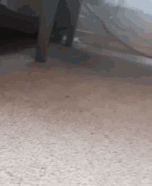 a close up of a chair 's legs on a carpeted floor