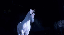 Unicorn Farts GIF