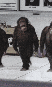 a group of chimpanzees walking in front of a emotional response chart