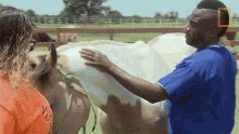 Petting A Horse Dr Hodges GIF - Petting A Horse Dr Hodges Tiffany Newman GIFs