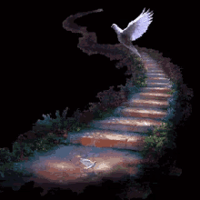 Stairway To Heaven GIF - Stairway To Heaven GIFs