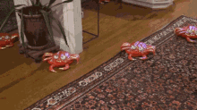 Crabs GIF - Crabs Crab GIFs