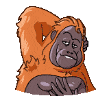 Orangutan Telegram Orangutan Sticker - Orangutan Telegram Orangutan Orang Kiss Stickers