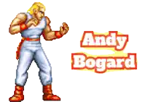 a video game character named andy bogard is standing in a fighting pose