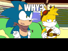 Tails Why GIF