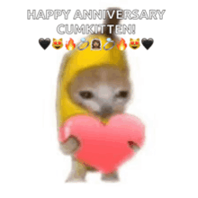 a cat wearing a banana costume is holding a pink heart and saying happy anniversary cumkitten .
