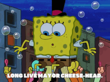 Spongebob Mayor GIF - Spongebob Mayor GIFs