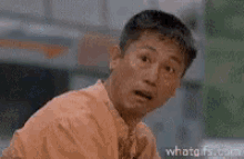 Ahh GIF - Cat Shocked Asian GIFs
