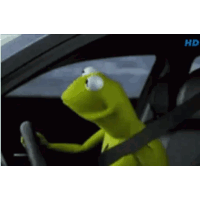 kermit the frog is driving a car and looking out the window .