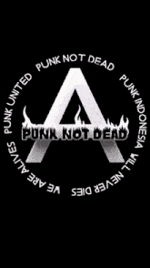 a black and white photo of a young man with the words punk written across his face