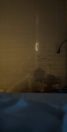 a reflection of a person is seen through a window with blinds