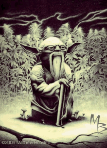 Yoda Weed GIF - Yoda Weed Stoner GIFs