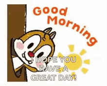 Good Morning Hope You Have A Great Day GIF - Good Morning Hope You Have A Great Day Morning GIFs