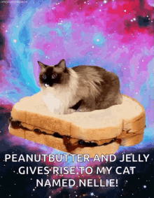 Peanut Butter And Jelly Pb And J GIF - Peanut Butter And Jelly Pb And J Pbj Day GIFs